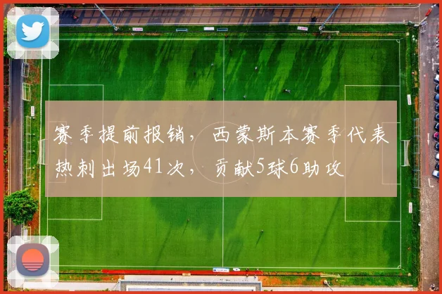 赛季提前报销，西蒙斯本赛季代表热刺出场41次，贡献5球6助攻